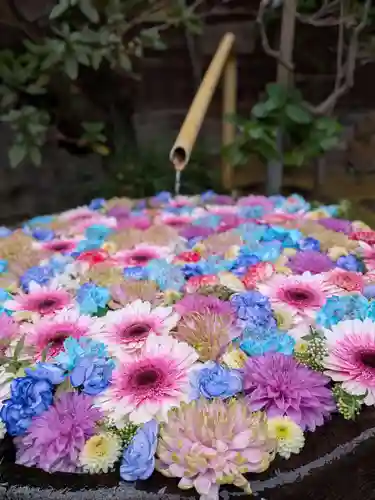 心行寺(東京都)