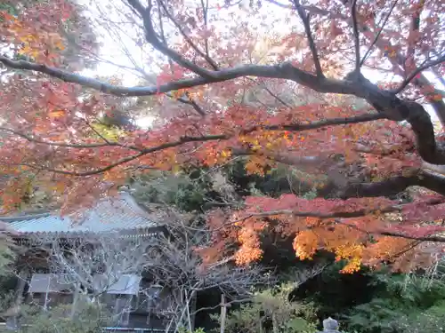 安國論寺（安国論寺）の景色