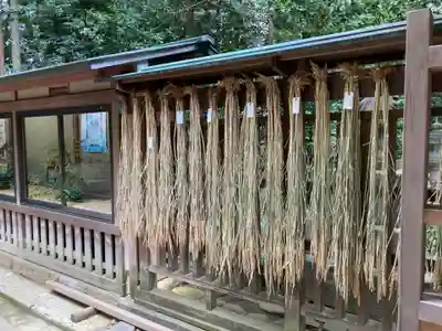 駒木諏訪神社(千葉県)