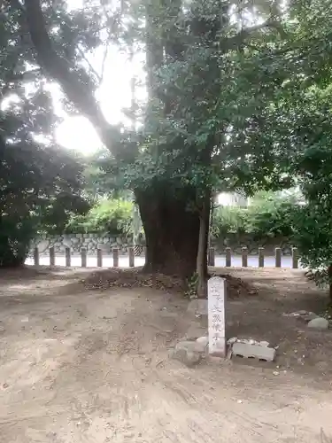 日吉神社の庭園