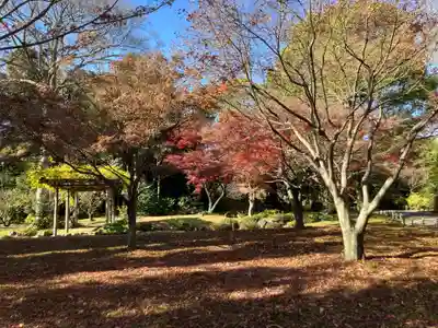 城南宮(京都府)