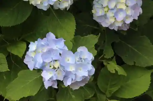 国宝 大法寺の自然