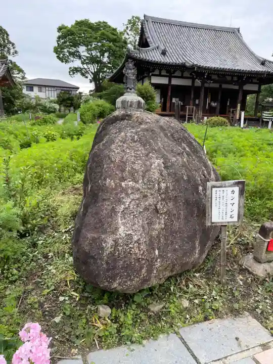 般若寺 ❁コスモス寺❁(奈良県)