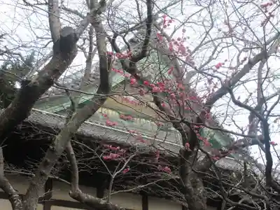 宝戒寺(神奈川県)