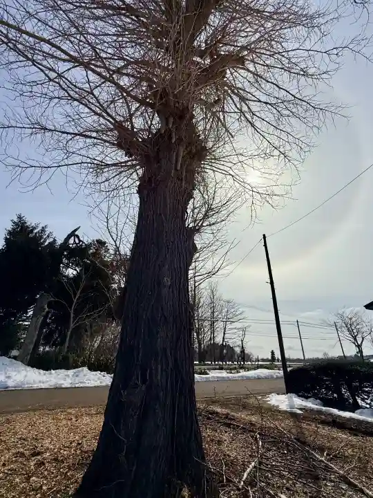 文月地蔵堂の{uncategorized: "未分類", other: "その他", undefined: "問題あり", building: "その他建物", grave: "お墓", sacred_gate: "鳥居", guardian: "狛犬", statue: "像", buddha: "仏像", history: "歴史", nature: "自然", garden: "庭園", animal: "動物", pagoda: "塔", temizu: "手水舎", mountain_gate: "山門・神門", sanctuary: "本殿・本堂", subordinate: "末社・摂社", art: "芸術", scenery: "景色", jizo: "地蔵", ema: "絵馬", goshuin: "御朱印", omikuji: "おみくじ", items: "授与品その他", amulet: "お守り", goshuincho: "御朱印帳", eats: "食事", festival: "お祭り", votive_dance: "神楽", shichigosan: "七五三参", wedding: "結婚式", experience: "体験その他", initially: "初詣", around: "周辺", anti_infection: "感染症対策"}