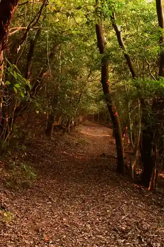 大元神社（宇佐神宮奥宮）(大分県)