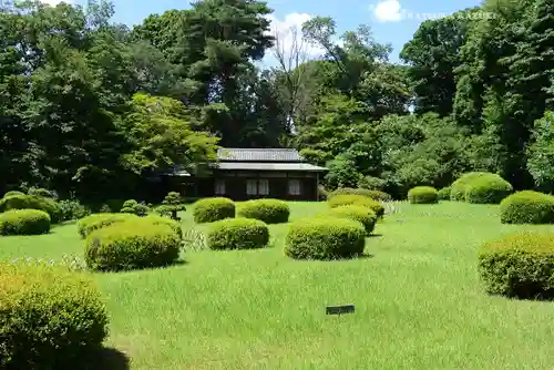 明治神宮(東京都)