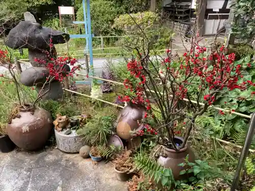 常栄寺の庭園