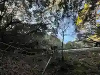 観音寺(岩屋観音)の{uncategorized: "未分類", other: "その他", undefined: "問題あり", building: "その他建物", grave: "お墓", sacred_gate: "鳥居", guardian: "狛犬", statue: "像", buddha: "仏像", history: "歴史", nature: "自然", garden: "庭園", animal: "動物", pagoda: "塔", temizu: "手水舎", mountain_gate: "山門・神門", sanctuary: "本殿・本堂", subordinate: "末社・摂社", art: "芸術", scenery: "景色", jizo: "地蔵", ema: "絵馬", goshuin: "御朱印", omikuji: "おみくじ", items: "授与品その他", amulet: "お守り", goshuincho: "御朱印帳", eats: "食事", festival: "お祭り", votive_dance: "神楽", shichigosan: "七五三参", wedding: "結婚式", experience: "体験その他", initially: "初詣", around: "周辺", anti_infection: "感染症対策"}