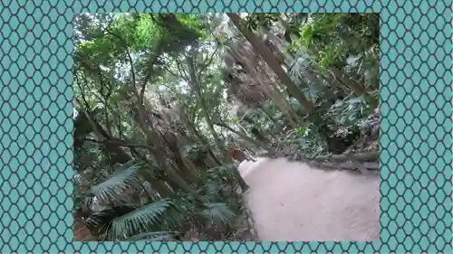青島神社（青島神宮）(宮崎県)