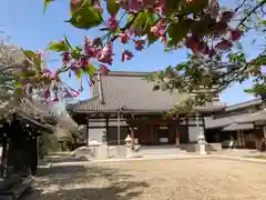 宝蔵寺の本殿