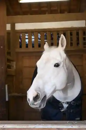 金刀比羅宮(香川県)