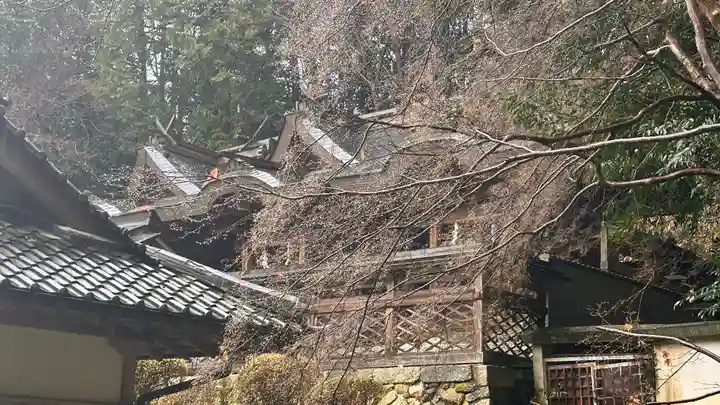 穴師坐兵主神社(奈良県)
