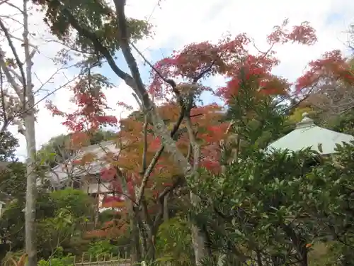 浄光明寺(神奈川県)