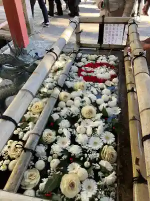 津島神社の手水舎