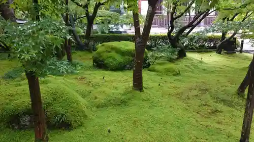 禅林寺（永観堂）の自然