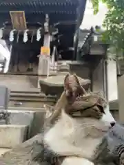 小野照崎神社の動物