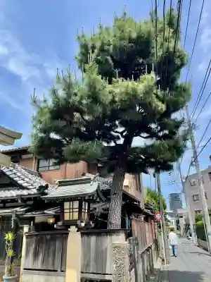 高円寺天祖神社(東京都)