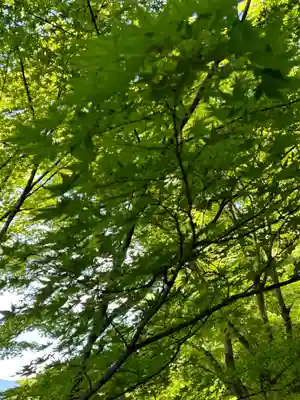 永源寺(茨城県)