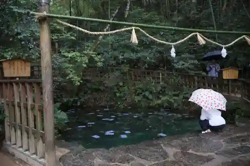 八重垣神社(島根県)