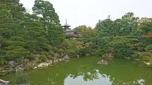 仁和寺の庭園