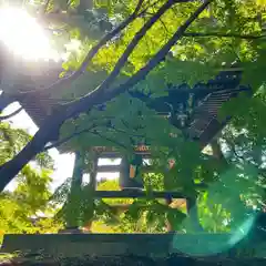 東漸寺の建物その他