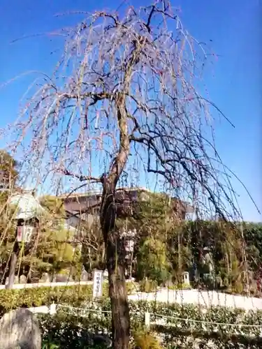 常性寺(東京都)