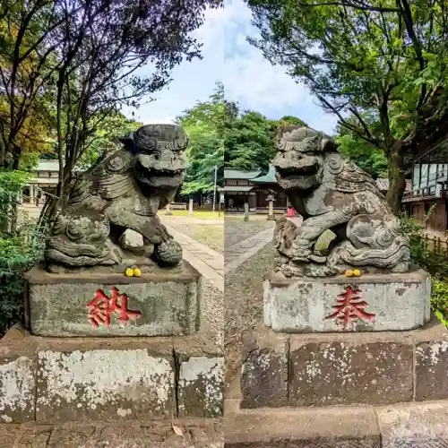 畑子安神社の狛犬