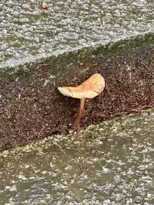 豊国廟（豊国神社飛地境内）(京都府)