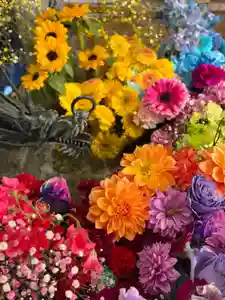 札幌諏訪神社(北海道)(2026年03月20日(金) 12時30分38秒投稿)