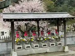 光明寺の地蔵