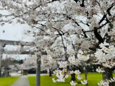 守りの神　藤基神社(新潟県)