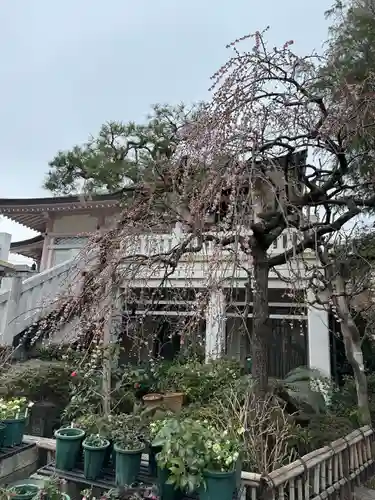 薬師寺　南蔵院 (東京都)