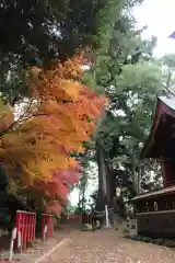 麻賀多神社奥宮の自然