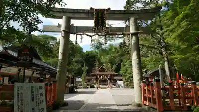 出雲大神宮の鳥居