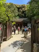 宇治上神社(京都府)