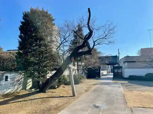 宝輪寺の{uncategorized: "未分類", other: "その他", undefined: "問題あり", building: "その他建物", grave: "お墓", sacred_gate: "鳥居", guardian: "狛犬", statue: "像", buddha: "仏像", history: "歴史", nature: "自然", garden: "庭園", animal: "動物", pagoda: "塔", temizu: "手水舎", mountain_gate: "山門・神門", sanctuary: "本殿・本堂", subordinate: "末社・摂社", art: "芸術", scenery: "景色", jizo: "地蔵", ema: "絵馬", goshuin: "御朱印", omikuji: "おみくじ", items: "授与品その他", amulet: "お守り", goshuincho: "御朱印帳", eats: "食事", festival: "お祭り", votive_dance: "神楽", shichigosan: "七五三参", wedding: "結婚式", experience: "体験その他", initially: "初詣", around: "周辺", anti_infection: "感染症対策"}