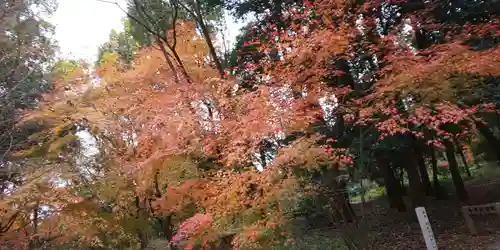 賀茂御祖神社（下鴨神社）(京都府)