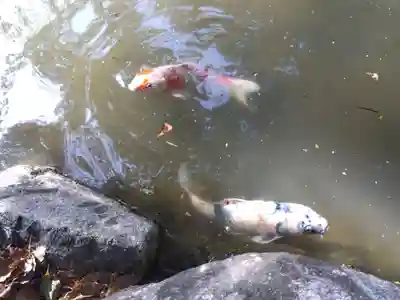 敏太神社(三重県)