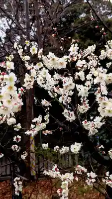 検見川神社の自然