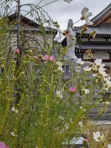大松禅寺の自然