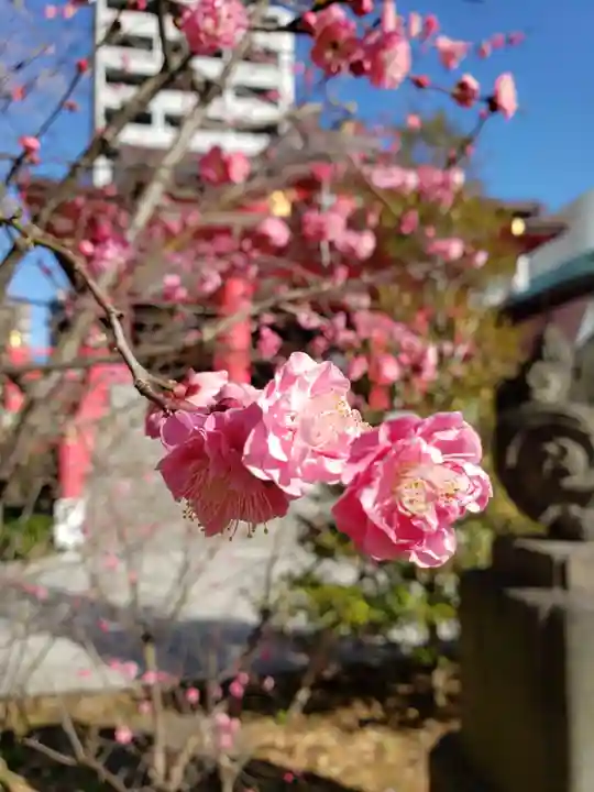 成子天神社の自然