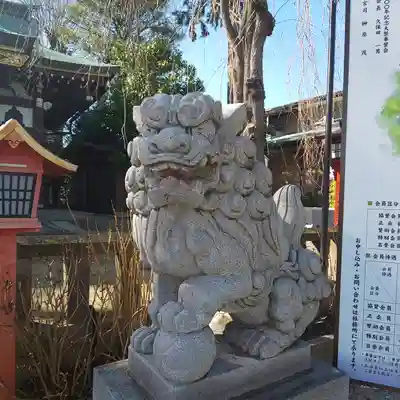 川越八幡宮の狛犬