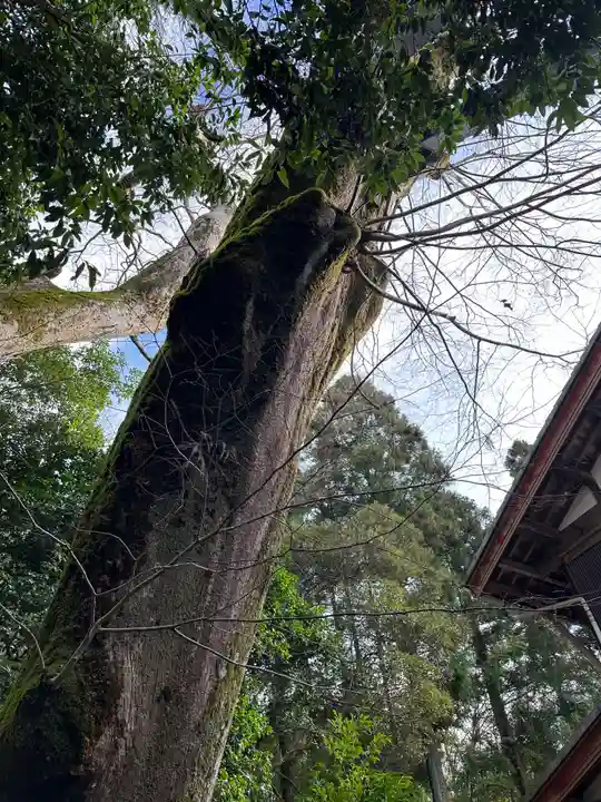 水分神社(滋賀県)
