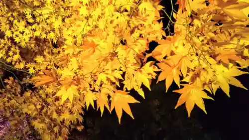 北広島市総鎮守　廣島神社の自然