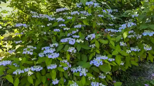 日體寺(京都府)