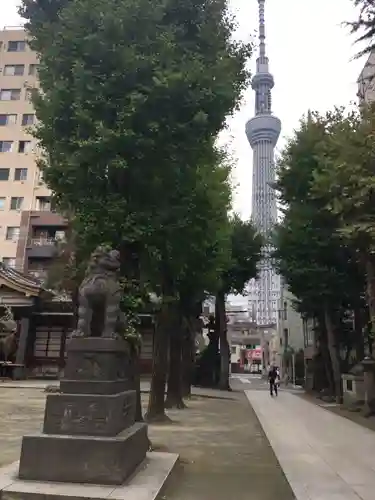 牛嶋神社の狛犬