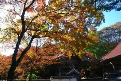 西念寺(山口県)