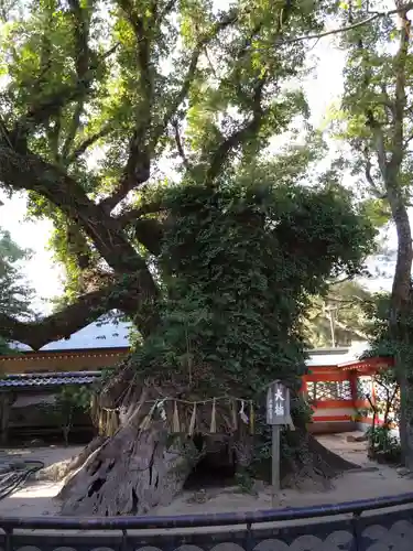 筥崎宮(福岡県)