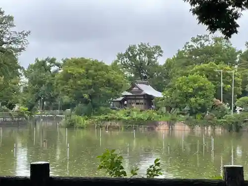 厳島神社の庭園